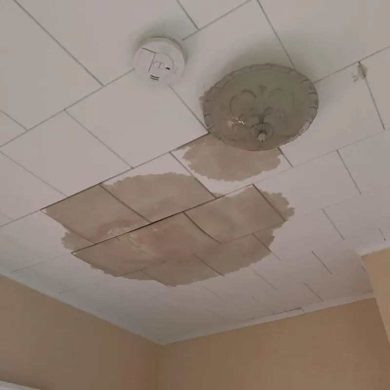 Ceiling Water Damage Repair in Hoxie, KS