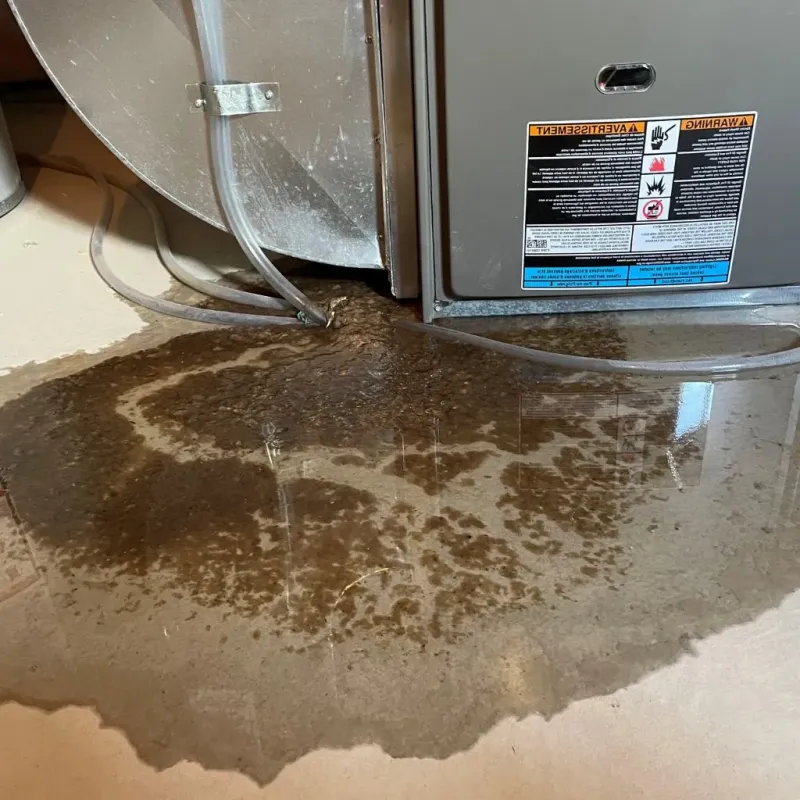 Pipe Burst and Leak Restoration in Hoxie, KS