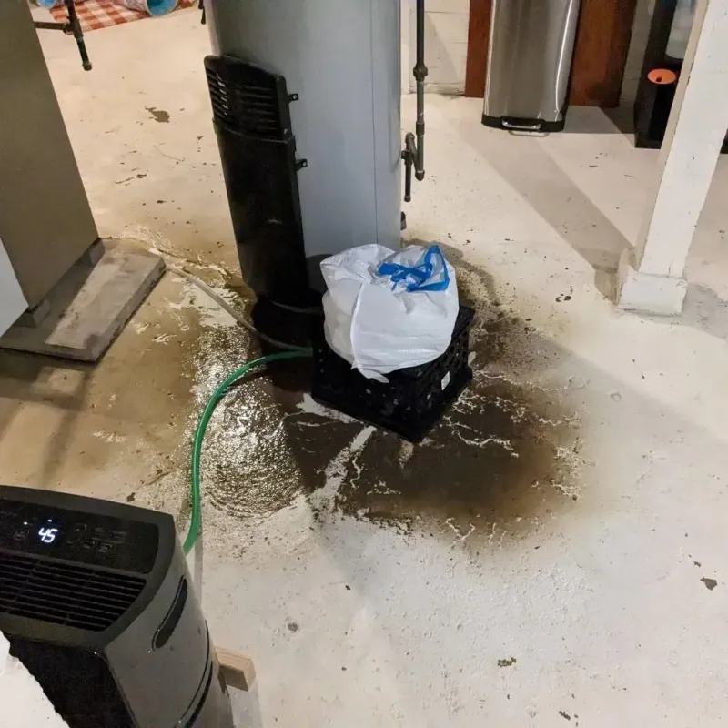 Sewage Backup Cleanup Service in Hoxie, KS